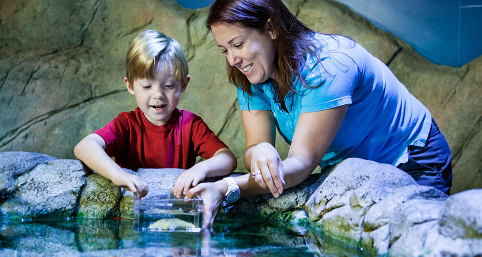 Best Things to Do In Grapevine, TX Grapevine Main